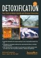 Detoxification - Your Path to Better Health and Disease Prevention